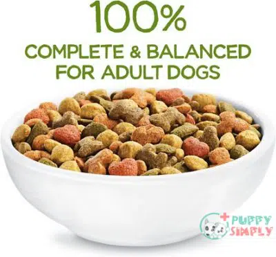 Purina Beneful Healthy Weight with 2004633