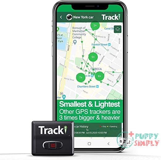 Tracki (2021) Mini GPS Tracker B07N4DHFZM