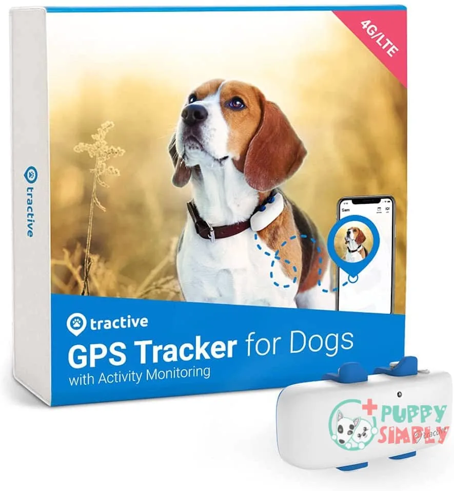 Tractive Lte Gps Dog Tracker