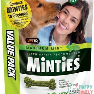 VetIQ Minties Medium/Large Dental Bone 234780