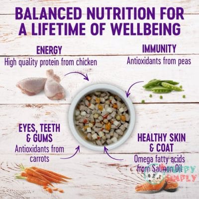 Wellness Chicken Stew with Peas 301532