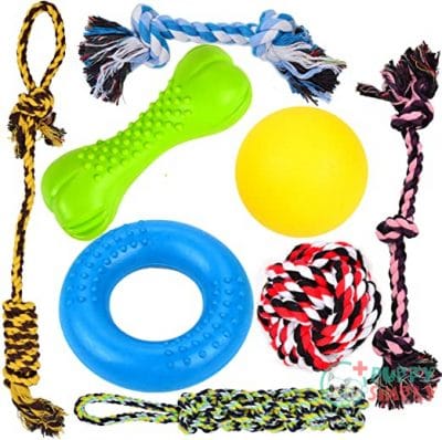 Youngever 8 Durable Dog Chew B074W6NZ21