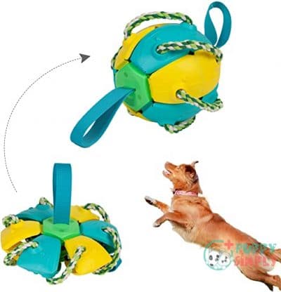 Banhey Interactive Dog Ball Toys B09H49HMN8
