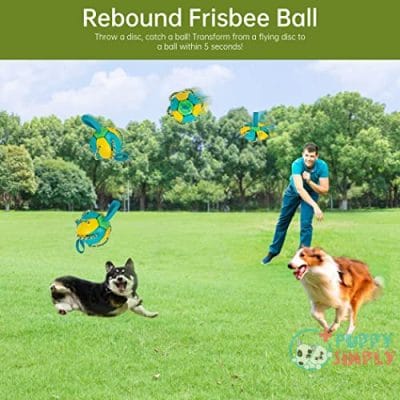 Banhey Interactive Dog Ball Toys B09H49HMN82