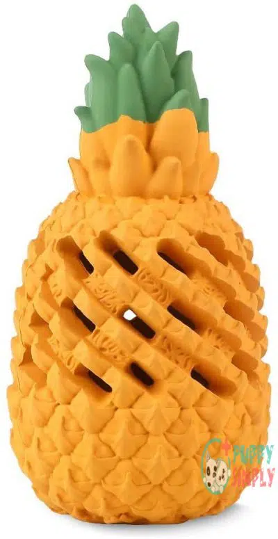 Beewarm Pineapple Dog Chew Toys B07Y6CQCNJ