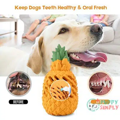 Beewarm Pineapple Dog Chew Toys B07Y6CQCNJ2