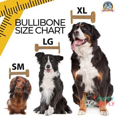 Bullibone Nylon Dog Chew Toy B073R4XB174