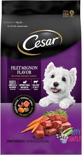 Cesar Filet Mignon Flavor & 137887