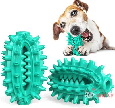 Dog Chew Toys Dog Toothbrush B097MF7FK7