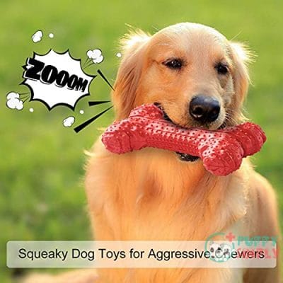 Dog Chew Toys for Aggressive B09CCS8CZB4