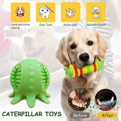 Dog Toys and Dog Chew B09368DQ183
