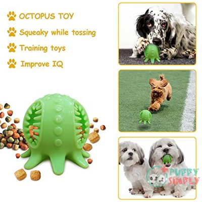 Dog Toys and Dog Chew B09368DQ184