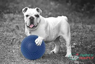 Dog Toys Balls, Herding Ball B098LLLTC22