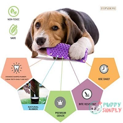 Dog Toys for Aggressive Chewers B098R32YDG3