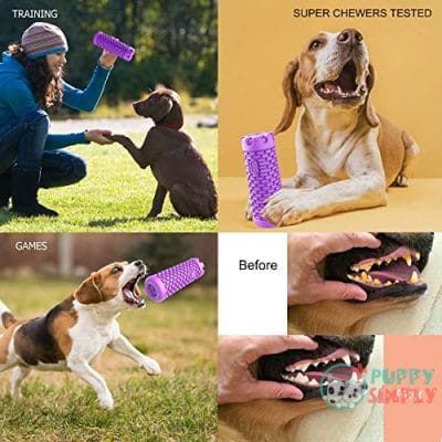 Dog Toys for Aggressive Chewers B098R32YDG4