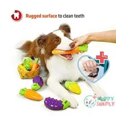 FOFOS Dog Chew Toys Squeaky B09H2BWXN52