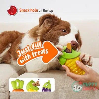 FOFOS Dog Chew Toys Squeaky B09H2BWXN53
