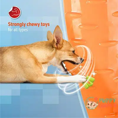 FOFOS Dog Chew Toys Squeaky B09H2BWXN54