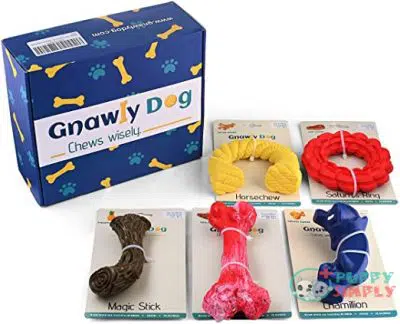 Gnawly Dog Chew Toys for B088ZPFXRC