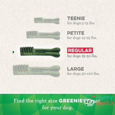 Greenies Fresh Regular Dental Dog 1134493