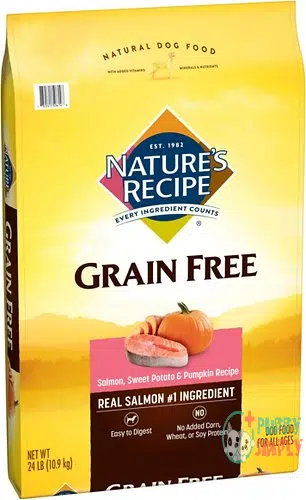 Nature's Recipe Grain-Free Salmon, Sweet 36660