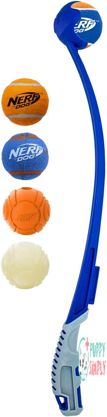 Nerf Dog 25in Translucent Air B08HGHC164