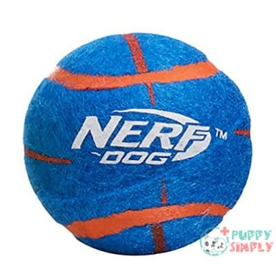 Nerf Dog 25in Translucent Air B08HGHC1644