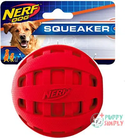 Nerf Dog Checker Ball Dog B00N9IJP06