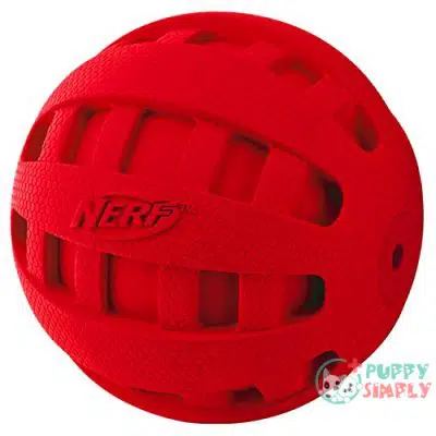 Nerf Dog Checker Ball Dog B00N9IJP062