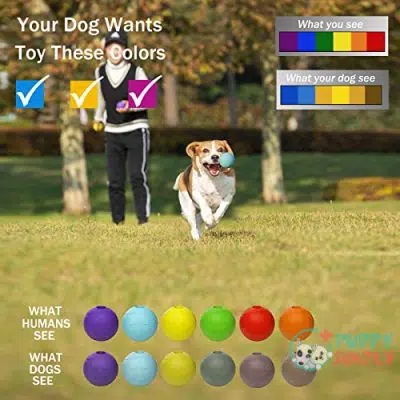 Petdoer Dog Toy Ball, Fetch B09DXY2DVB2