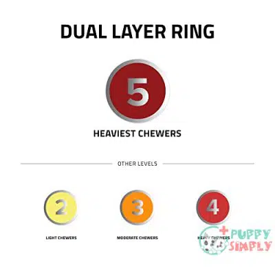 Playology - Dual Layer Ring B07HFH8R2P4