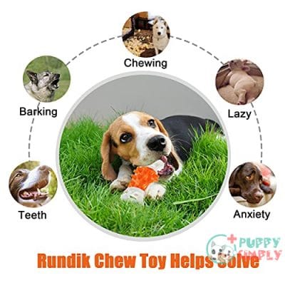 Puppy Teething Toys ,Dog Bone B0915WRT483