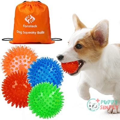 Puppy Toys Squeaky Balls for B094HXB8VW
