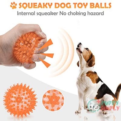 Puppy Toys Squeaky Balls for B094HXB8VW2