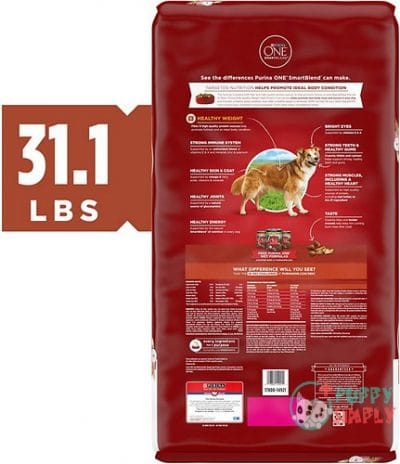 Purina ONE SmartBlend Healthy Weight 375573