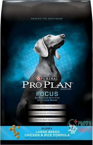 Purina Pro Plan Puppy Large 52424
