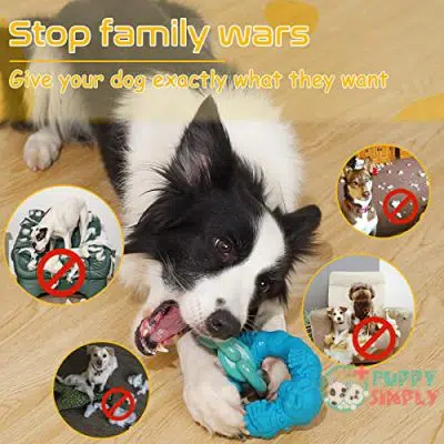 Rmolitty Dog Toys for Aggressive B09H6WWXY73