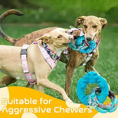 Rmolitty Dog Toys for Aggressive B09H6WWXY74